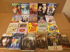 Lot of 100 Chapter INSTANT LIBRARY Children RANDOM~MYSTERY BOX~UNSORTED BOOK MIX