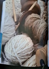 SPINNING WOOL: BEYOND THE BASICS By Anne Field *LIKE NEW*