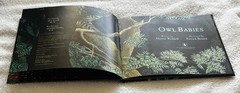 Owl🦉Babies📘Candlewick📀Storybook🥚Animations Book +DVD Martin Waddell FreeShip