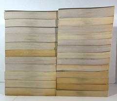 Lot of 24 Ashes Series by William J. Johnstone 1990s-2000s Softcover Westerns