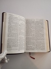 Giant Print Handy Size Bilbe NASB Amg 2011 Burgandy Imitation Leather 1977 ED