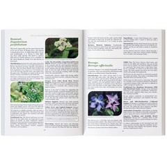 The Lost Book of Herbal Remedies (paperback with color pictures)
