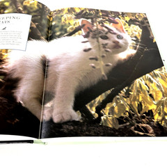 The Complete Cat Book by Paddy Cutts Hardcover First Edition 1994 With Cover