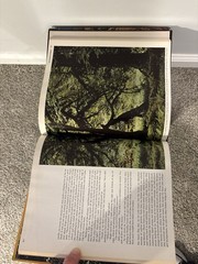 Vintage Time Life Books The American Wilderness Set of 16 1972-1975 Hardcover