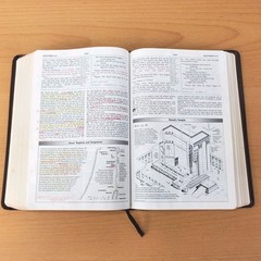 Zondervan The NIV Study Bible 10th Anniversary Edition 1995 Red Letter, Leather