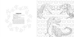 Animals: A Smithsonian Coloring Book Box Set, Smithsonian Institution, Excellent