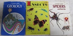 14 Golden Press Nature Guide Lot Rocks Stars Flowers Fossils Insects Weather +