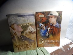 *NEW PRICE Lot of 19 Paperback Amish Romance Novels – Various Titles/Authors