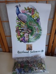 PUZZLE Rosalind Solomon Peacock of India 300 PCS Poster Custom Shaped 24″ x 17″