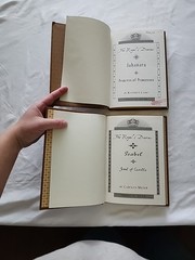 THE ROYAL DIARIES HB Lot Of 5 Youth Historical Fiction Scholastic First Editions