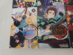 Demon Slayer Kimetsu No Yaiba Lot 6 Vol 1, 6, 8, 9, 10 & Water & Flame Eng Manga