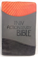 The NIV Action Study Bible – Premium Edition by Sergio Cariello / David C. Cook