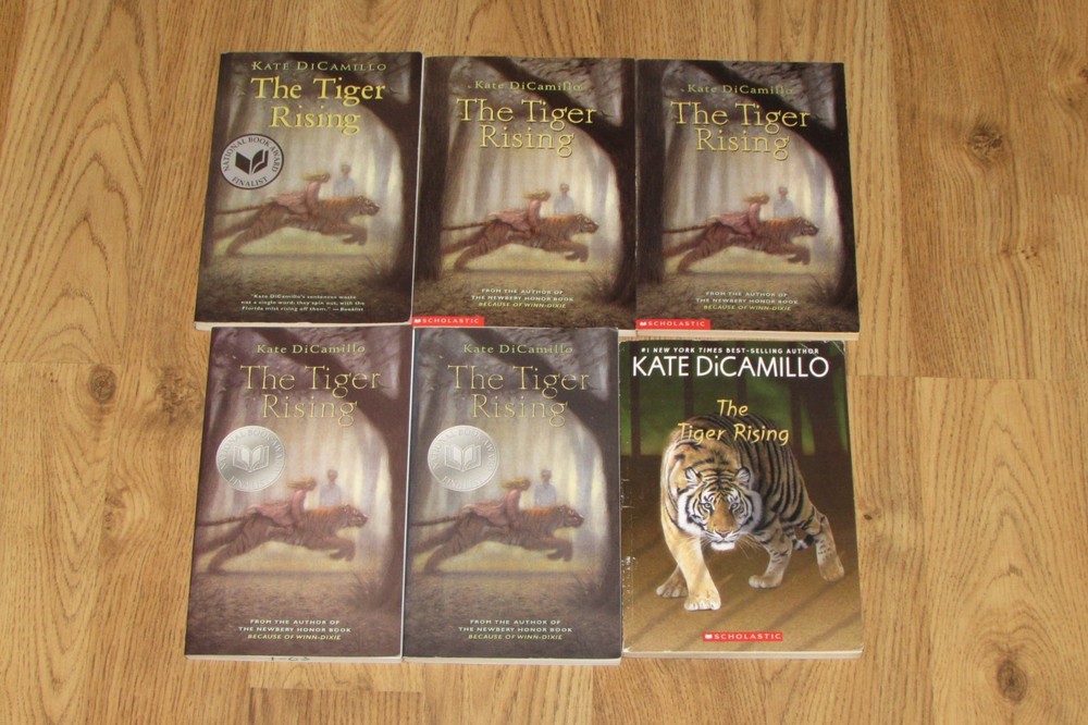 6 THE TIGER RISING Kate DiCamillo GUIDED READING Book Lot