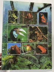 Tropical Rainforests of the World Rupert Matthews Nature Wildlife Photography