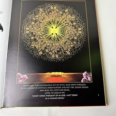 The Illuminated Rumi Jalal Al-Din Rumi 1997 First Edition Illustrated Hardcover