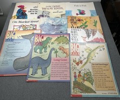 Lot Of 10 Oversized Classroom Teacher Big Books Easel Lionni Heller Carle