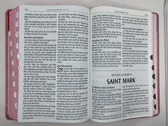 KJV Kids Bible, large print 40 Pages Full Color Study Helps, Presentation index
