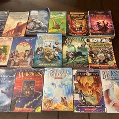 Chapter Books Fantasy-Lot of 18-dragons, Warriors, Narnia, Choose Own Adventure