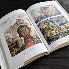 They Drew Fire: Combat Artists of World War II [Bulk Shipping Available]
