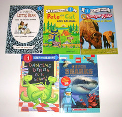 Lot 25 LEVEL 1 BOYS – I Can Read, Step Into Reading, Scholastic Readers Books