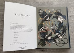 Jessica Roux Ornithography Illustrated Guide to Bird Lore & Symbolism HC 2024