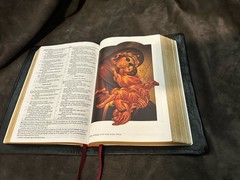Edge Lined orthodox study bible leather With Apocrypha/ Deuterocanonical