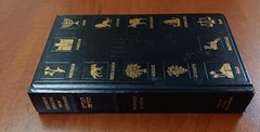 Hebrew-English New Covenant Prophecy Edition Hardback Gilded Edges