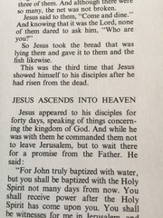 The Golden Children’s Bible: A Full-Color Bible for Kids Hardcover 512 Pages