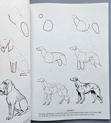Draw 50 Animals Books Lot Lee J Ames Horses Cats Dogs Step-by-Step Drawing