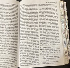 NIV Super Giant Print Reference Bible 2011 Brown Leathersoft 16.5pt Font – EUC