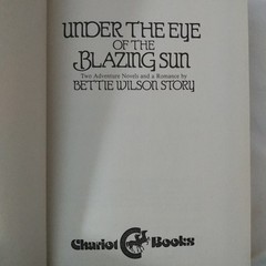 11 Book Youth Blazing Sun Peter Wendy Straw Hat Howie Lennon ShirleyTemple Heidi
