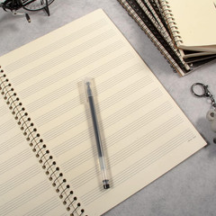 Coguzed 100 Pages Blank Sheet Music Notebook – 26X19cm Staff Paper for Musicians