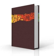 Spark Bible NRSV – Hardcover – GOOD