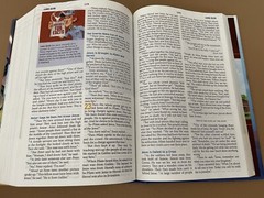 NIRV, ADVENTURES IN ODYSSEY BIBLE By Gary Locke & Sergio Cariello – Hardcover
