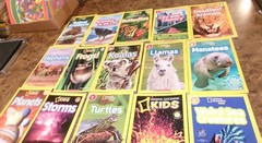 30 National Geographic Kids Level 1, 2 & 3 Science Readers Lot Dinosaurs Sharks+