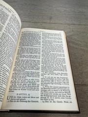 Vintage 1967 Die Bibel Martin Luther National Bible Press Black HC German USA