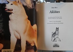 Akitas A Complete Pet Owners Manual Paperback 1997 By Dan Rice Photos & Illus.