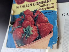 Lot of 10 Cookbook Pamphlets Vintage 1930s – 1960s * Culinary Arts Mystery Chef