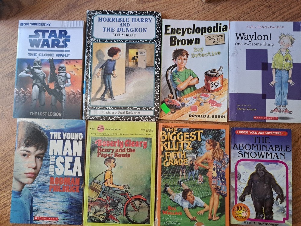 BOYS Chapter Books Lot of 8 ~ 8-12 Years Old – Classroom Library Homeschool