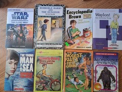BOYS Chapter Books Lot of 8 ~ 8-12 Years Old – Classroom Library Homeschool