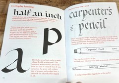 The Practical Guide To Calligraphy By Rosemary Sassoon Paperback 96 Pages