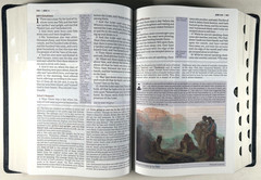 KJV Study Bible Black Genuine Leather Full Color Edition Indexed King James VG