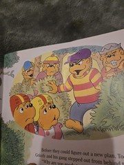 The Berenstain Bears 17 Book Lot Total Huge Lot Bundle