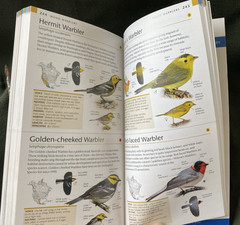 AMNH Pocket “Birds Of North America “ “Western Region “, 2017