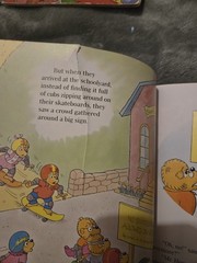 The Berenstain Bears 17 Book Lot Total Huge Lot Bundle