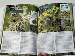 The Forager’s Guide to Wild Foods Book By Nicole Apelian, 2021 North American Ed
