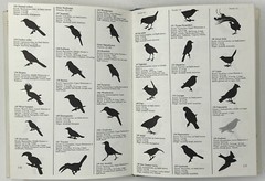 World Of Birds: New & Revised Ed. by James Fisher & Roger Tory Peterson HC w/ DJ