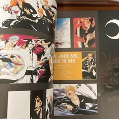Bleach EX 20th Anniversary Exhibition Art Book THE BRAND NEW BLACK Illustration