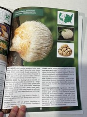 The Forager’s Guide to Wild Foods Book By Nicole Apelian, 2021 North American Ed
