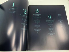 Tiffany Wonder Book- History of Tiffany & Japan published by Assouline 240 pages
